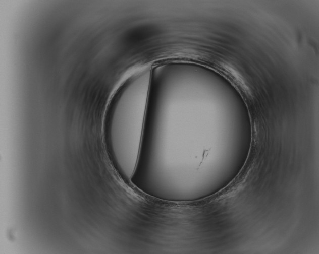X0000093470780200710121010
