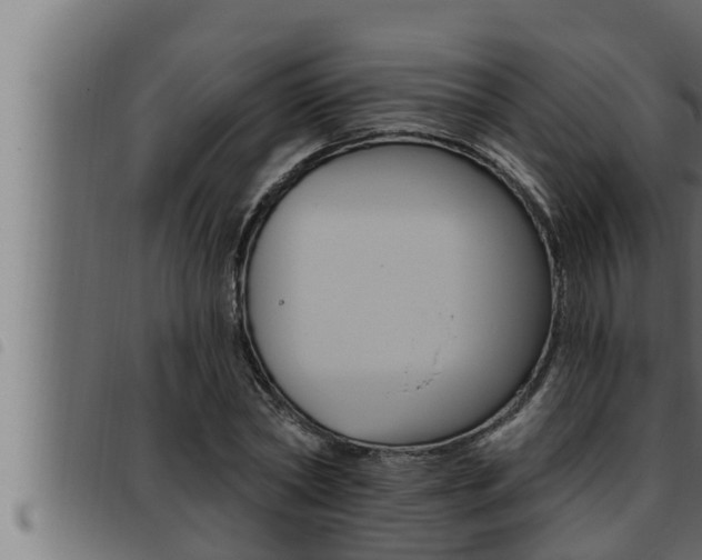 X0000093470782200710121010