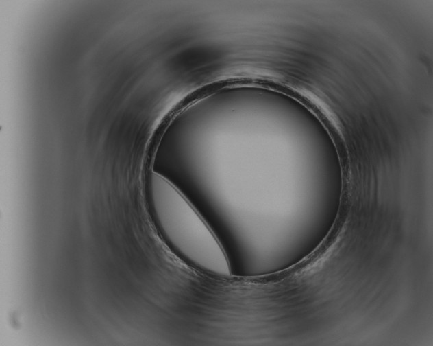 X0000093470783200710121010