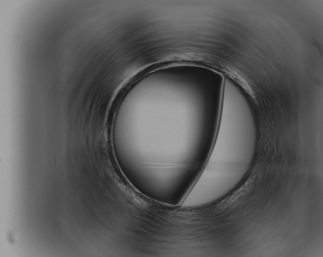 X0000093470784200710121010