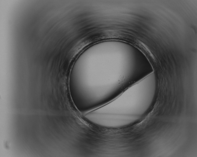 X0000093470786200710121010