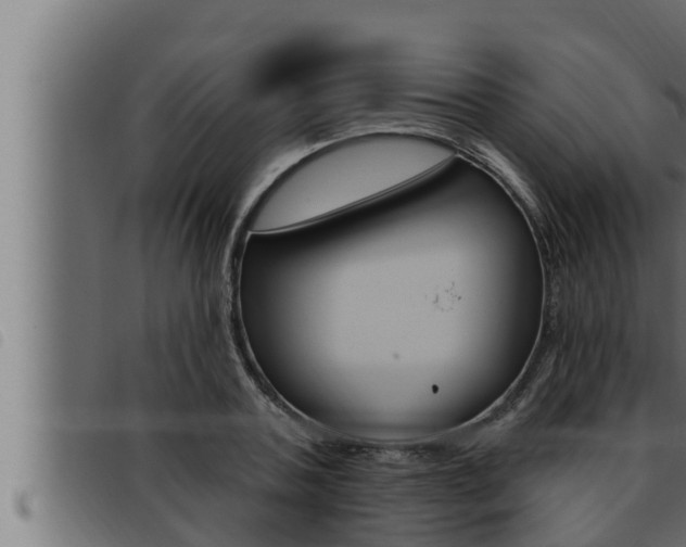 X0000093470787200710121010