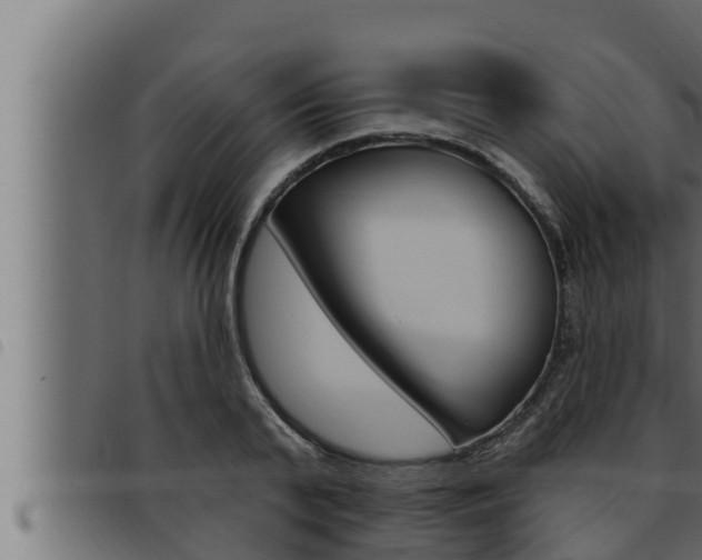 X0000093470791200710121010