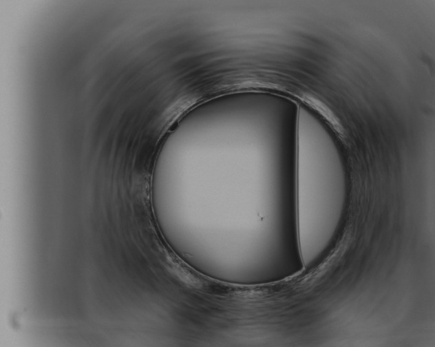 X0000093470793200710121010