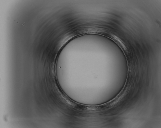 X0000093470794200710121010
