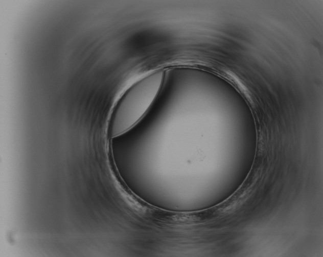 X0000093470795200710121010