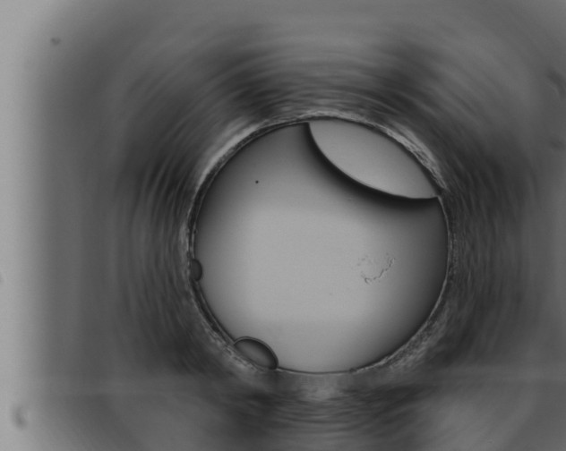 X0000093470798200710121010