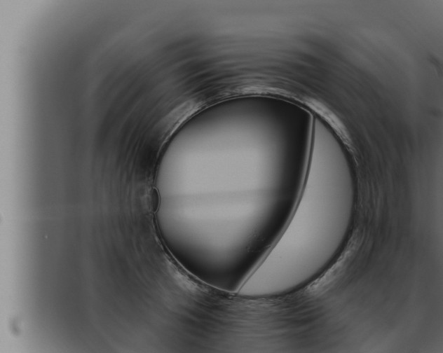 X0000093470801200710121009
