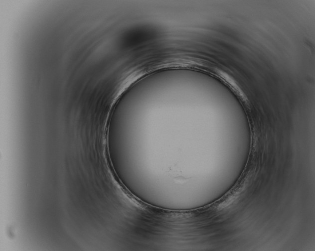 X0000093470802200710121009