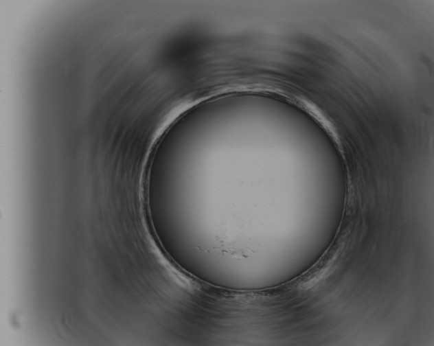 X0000093470803200710121009