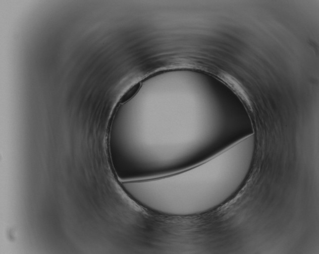X0000093470805200710121009