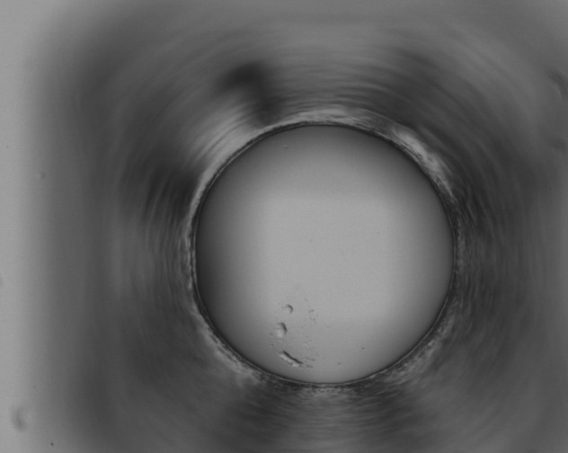 X0000093470808200710121009