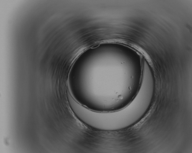 X0000093470809200710121009
