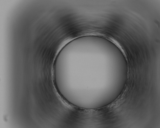 X0000093470811200710121009