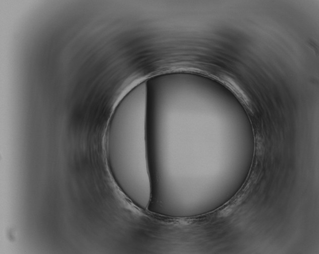 X0000093470814200710121009