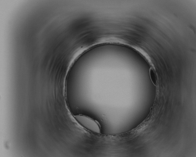 X0000093470815200710121009