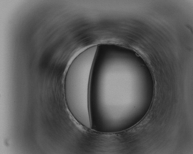 X0000093470816200710121009