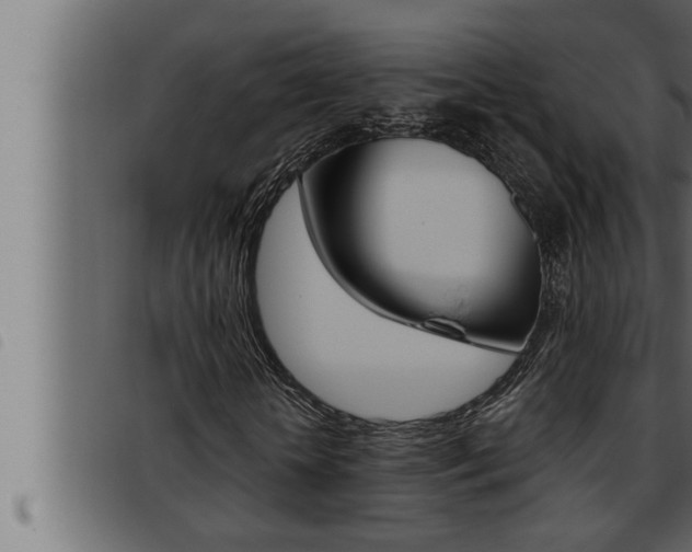 X0000093470818200710121009