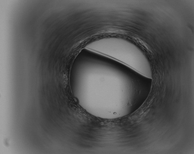 X0000093470821200710121009