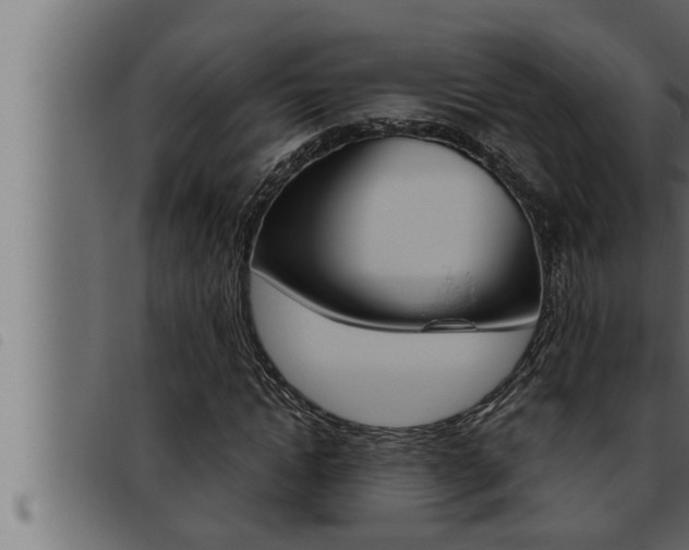 X0000093470822200710121009