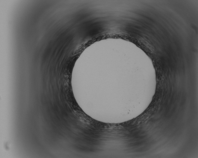 X0000093470824200710121009