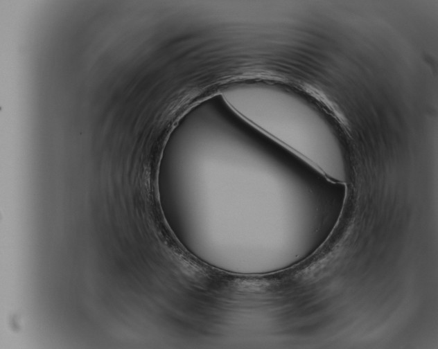 X0000093470825200710121009