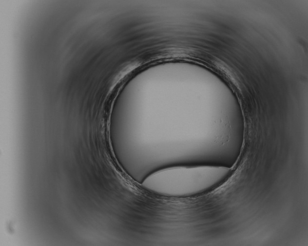 X0000093470827200710121009