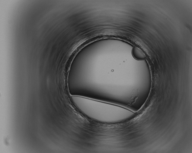 X0000093470829200710121009