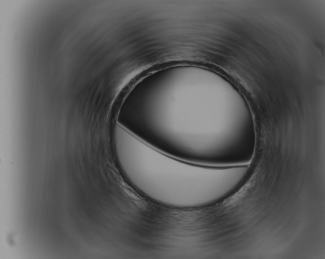 X0000093470830200710121009