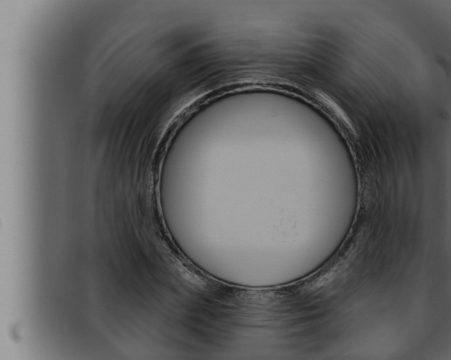 X0000093470831200710121009