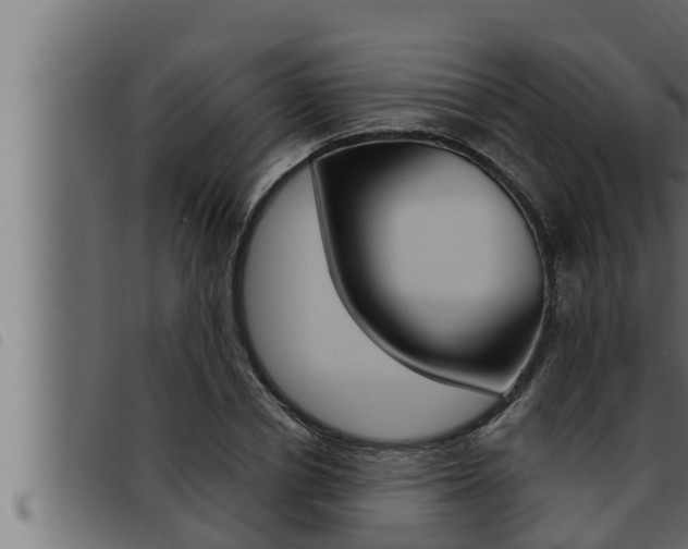 X0000093470834200710121009