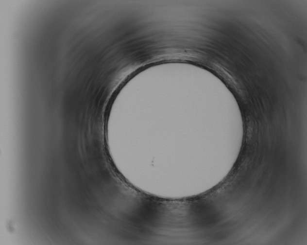 X0000093470836200710121009