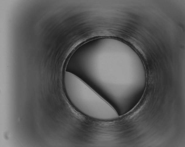 X0000093470837200710121009