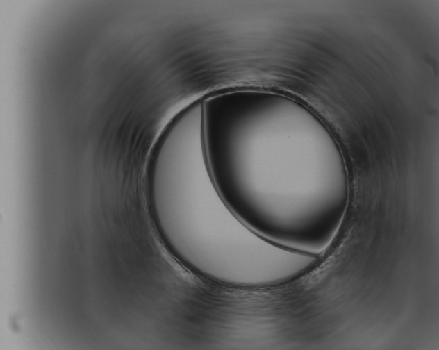 X0000093470838200710121009