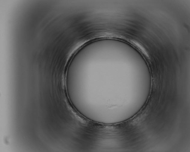 X0000093470839200710121009