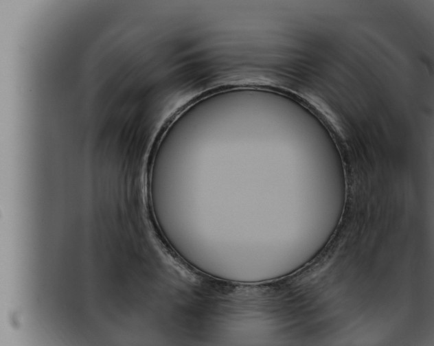 X0000093470840200710121009