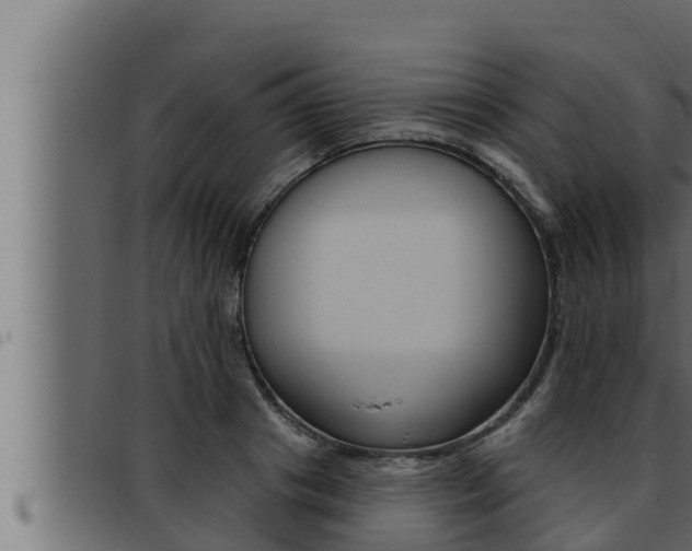 X0000093470841200710121009