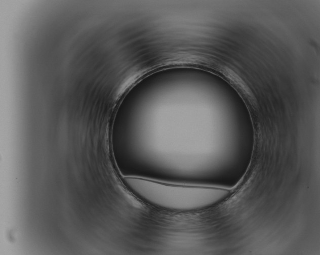 X0000093470842200710121009