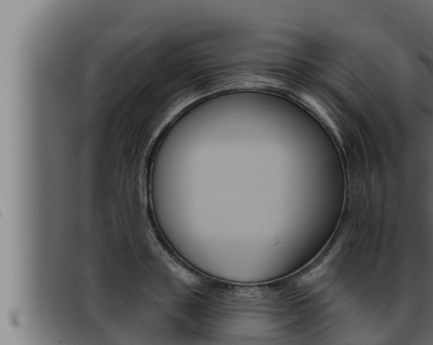 X0000093470843200710121009