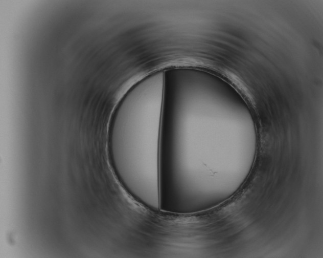 X0000093470845200710121009