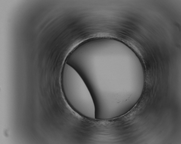X0000093470847200710121009