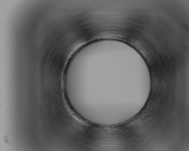 X0000093470848200710121009