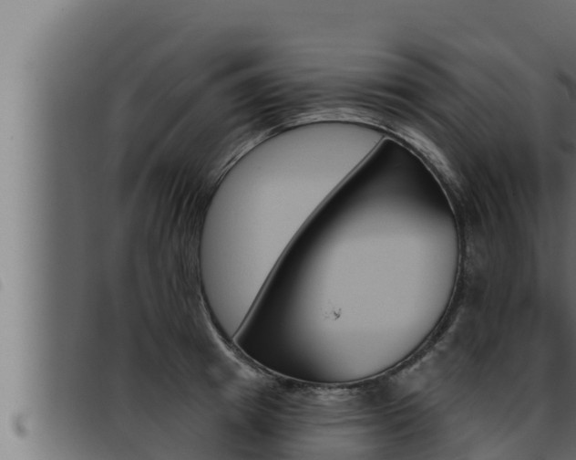 X0000093470849200710121009