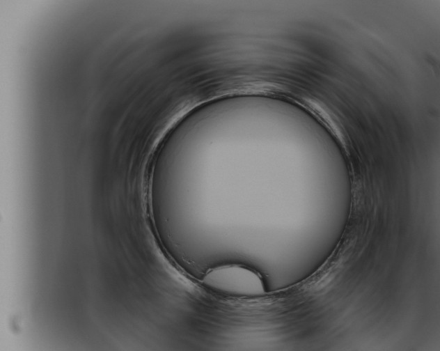 X0000093470851200710121009