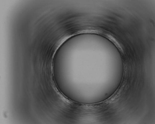 X0000093470852200710121009