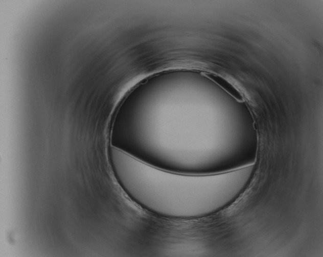 X0000093470854200710121009