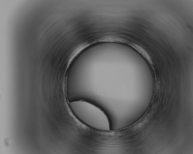X0000093470855200710121009