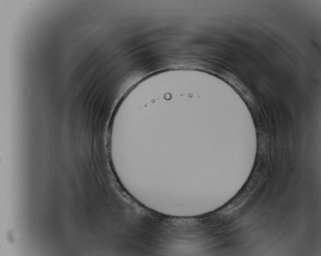 X0000093470856200710121009