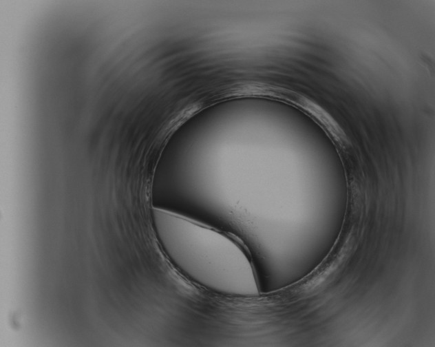 X0000093470857200710121009