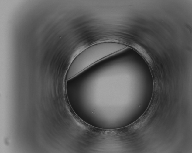 X0000093470858200710121009